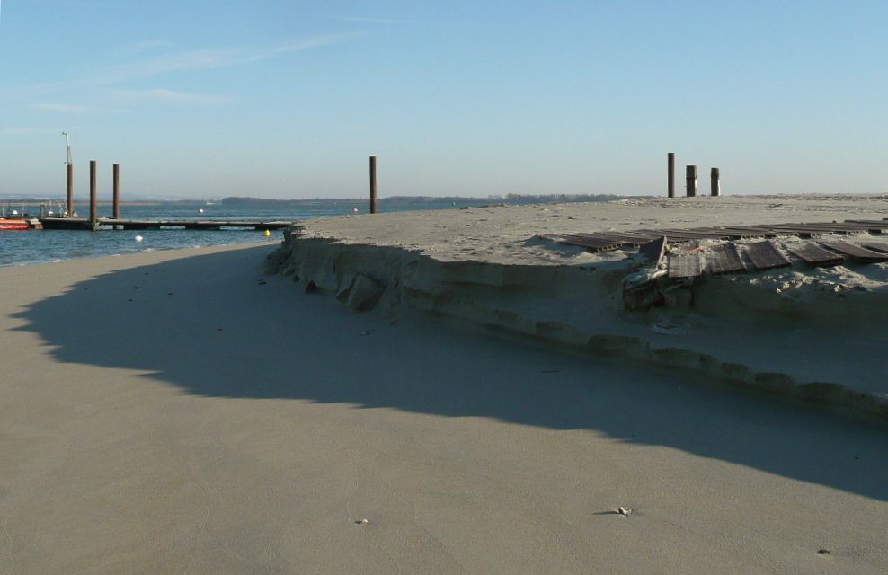 P1000425_C2 P1000425_C2