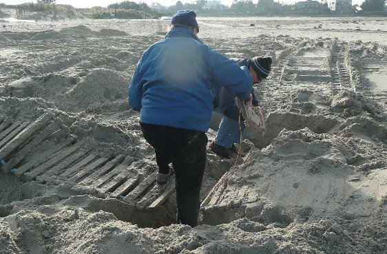 P1000449_C4 P1000449_C4